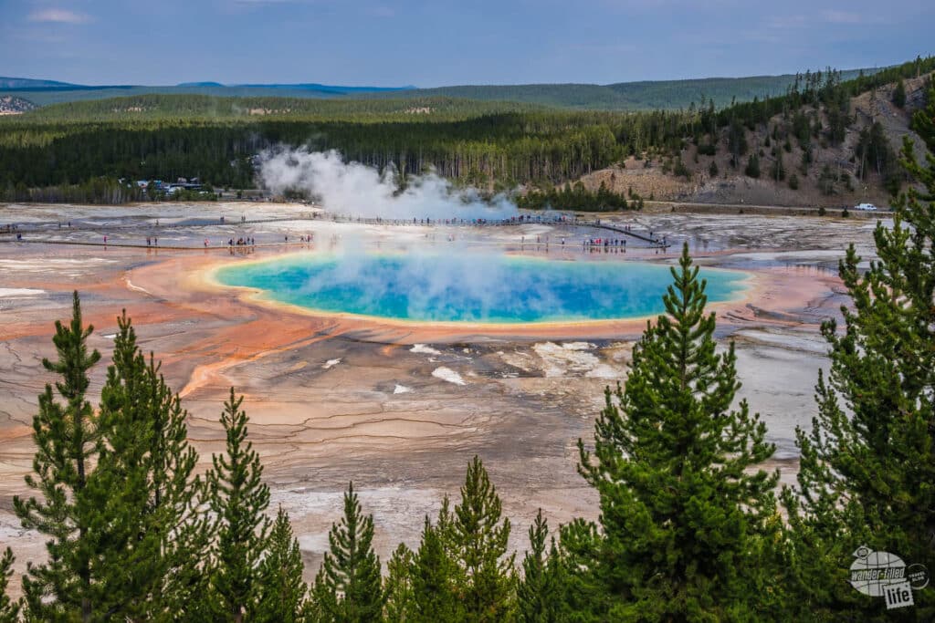 Looking over Grand Prismatic Spring and it s rainbow of colors in Yellowstone.