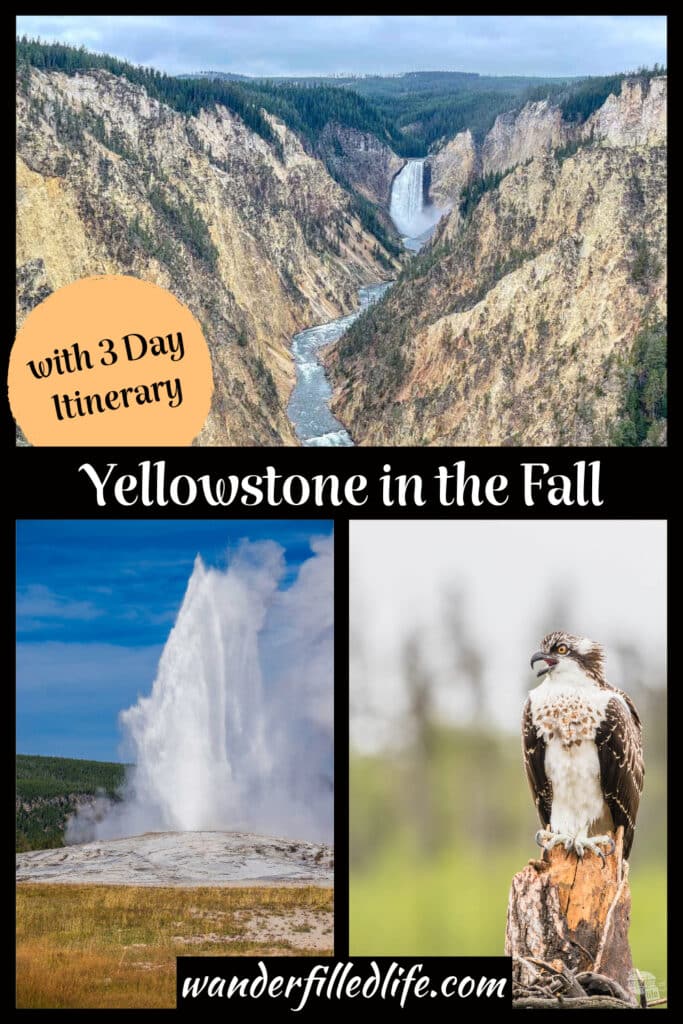 Everything you need to know about visiting Yellowstone in the fall. In this article, we share our experience, tips and three-day itinerary. 