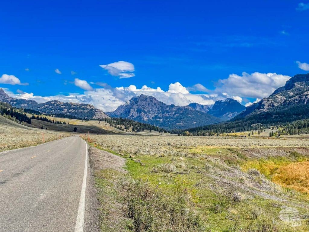 A road leading towards the mountains in Yellowstone National Park.