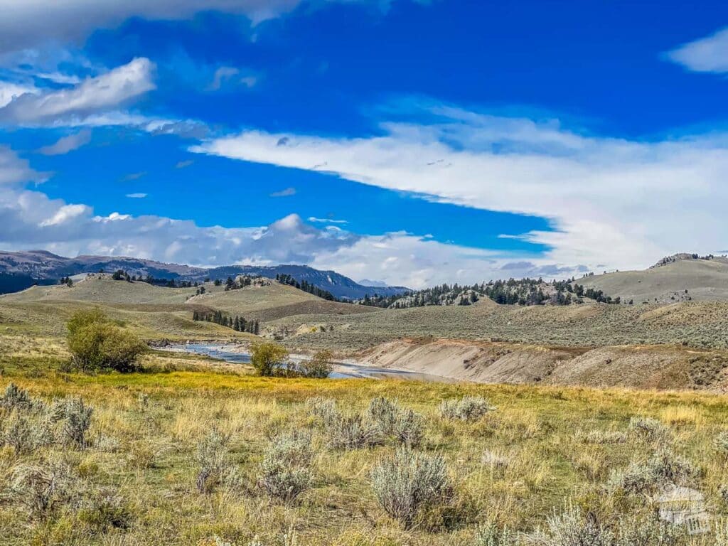 Yellowstone's vast Lamar Valley