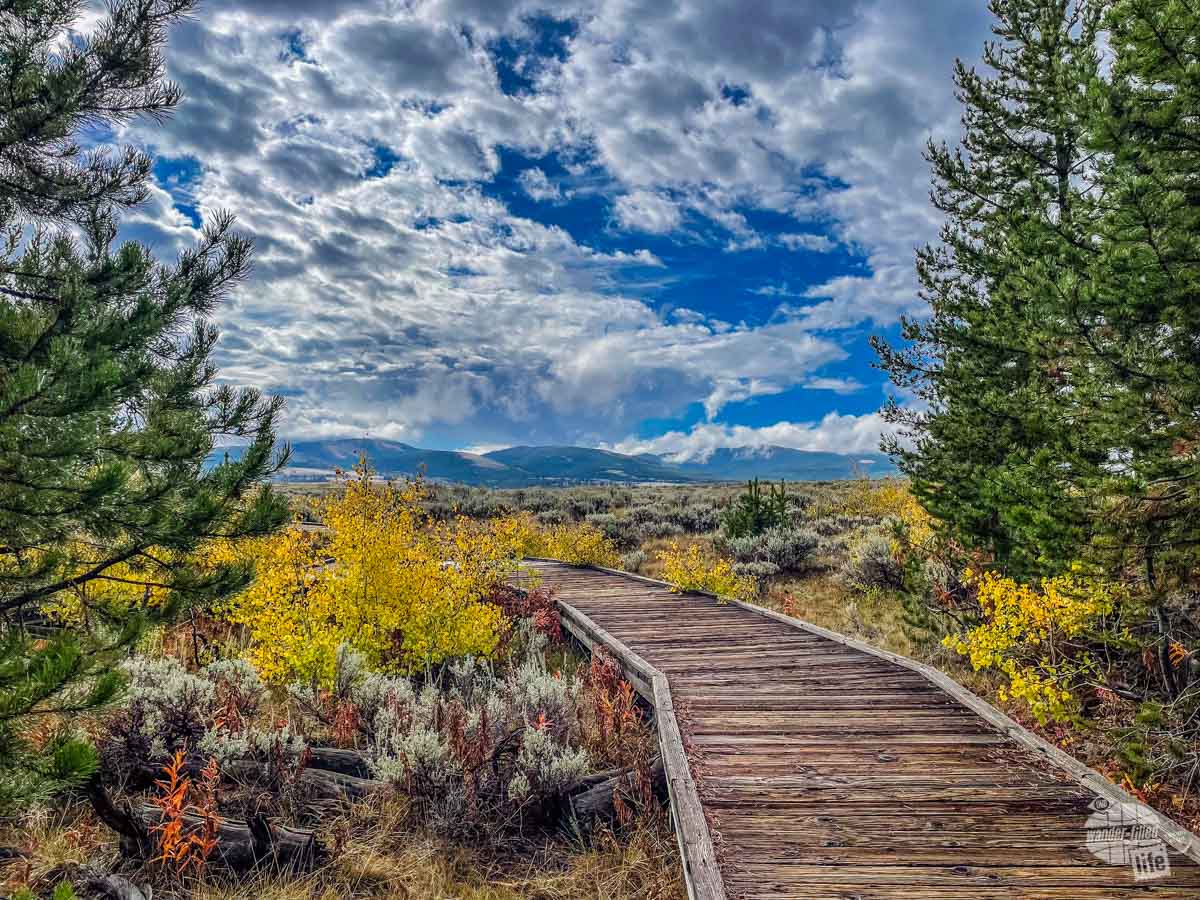 A nature trail in Yellowstone National Park, one of our essential stops on our Montana road trip