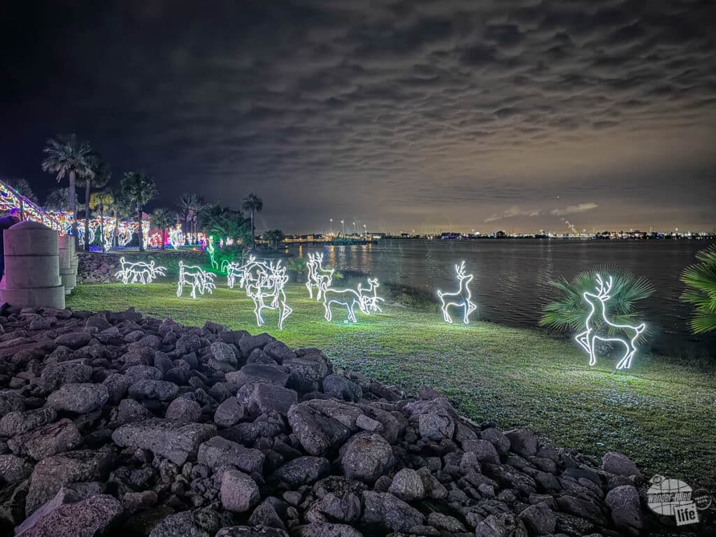 Christmas lights along the shore.