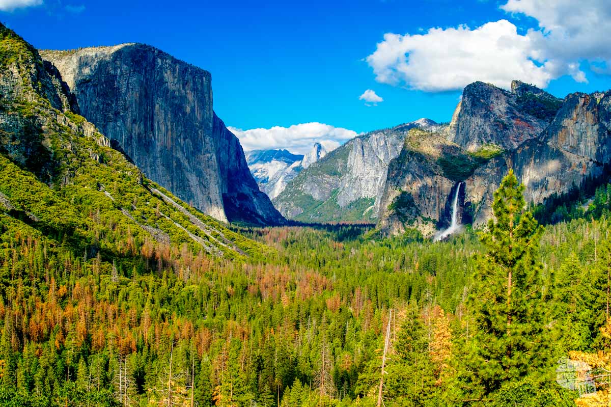 Yosemite Valley is a stunning view that everyone should see!