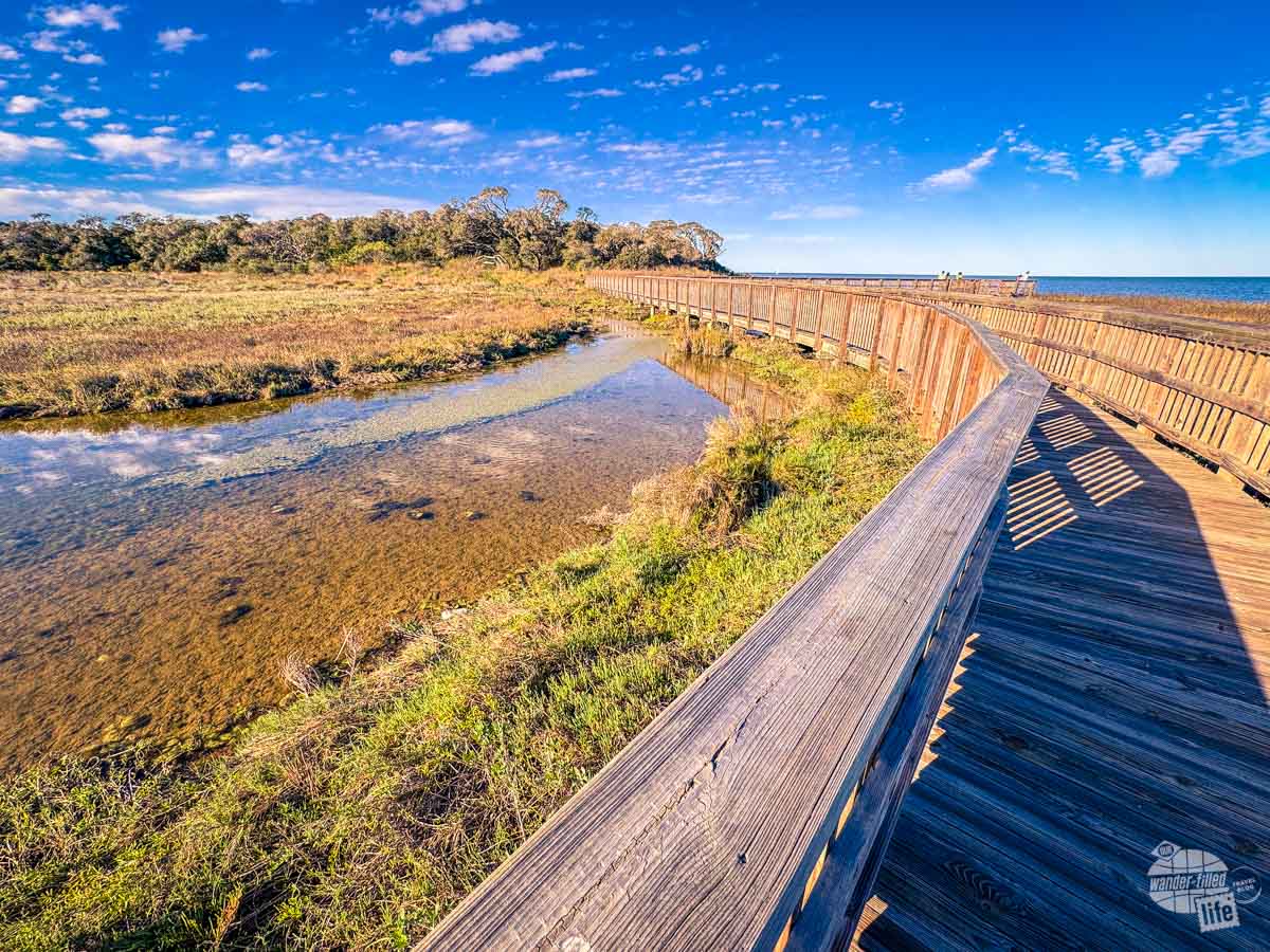 A wooden board walk curves over and around a marsh. 