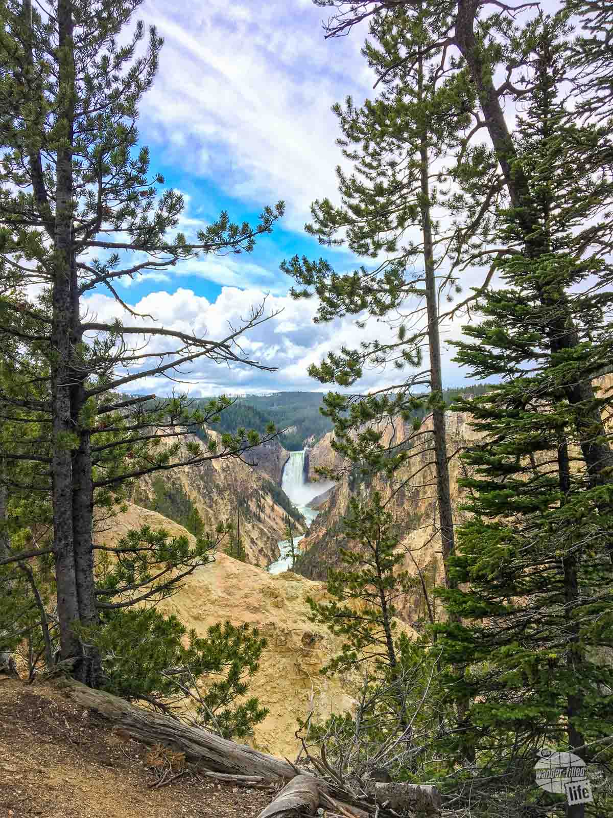A view of the Lower Falls from Artist Point in Yellowstone National Park
