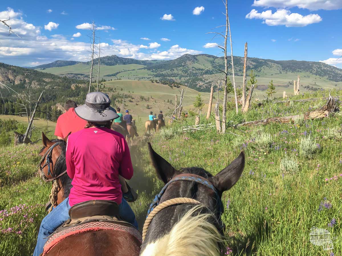 Riding on horseback in Yellowstone National Park.
