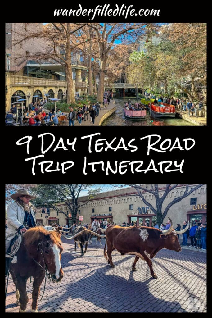Image collage with text overlay for Pinterest.  The text in the middle of the page reads 9 Day Texas Road Trip Itinerary. The top image is of a riverwalk. The bottom photo is of a cattle drive.