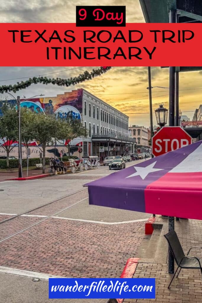 Image with text overlay for Pinterest. The image shows a city street with a table awning in the likeness of the Texas Flag - a single white star on a blue background and red and white stripes. The text at the top of the page reads 9 Day Texas Road Trip Itinerary.
