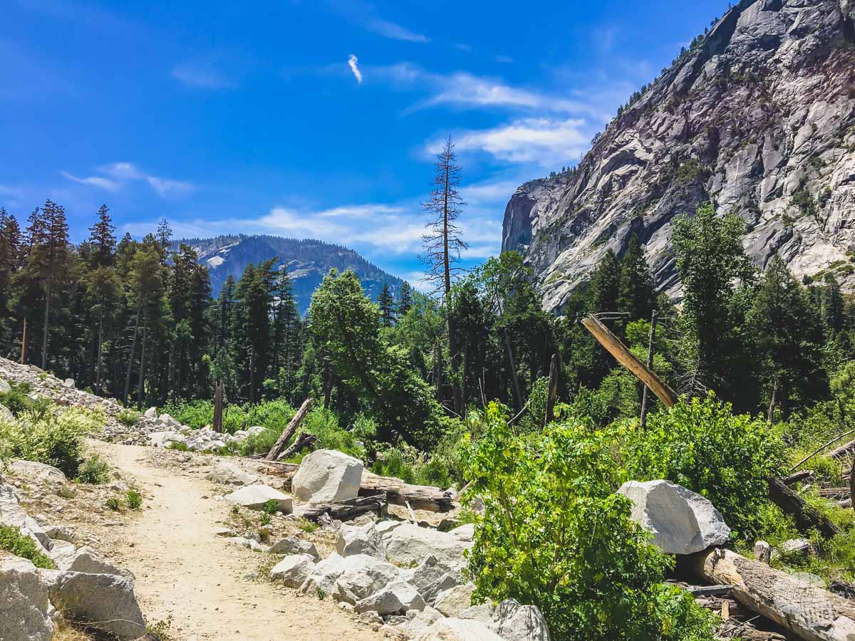 An open spot along the Valley Loop Trail in Yosemite National Park