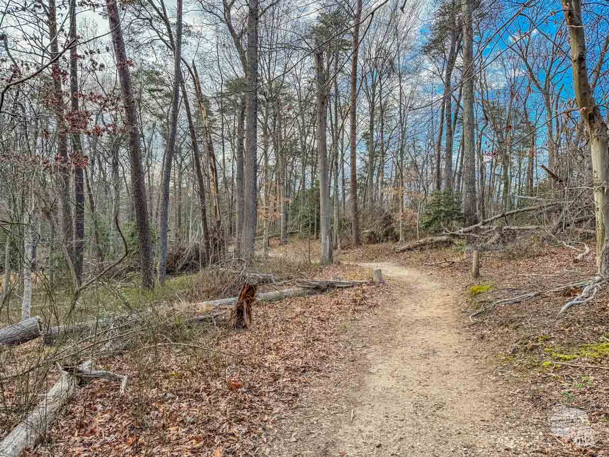 A hiking trail at Greenbelt Park in Maryland