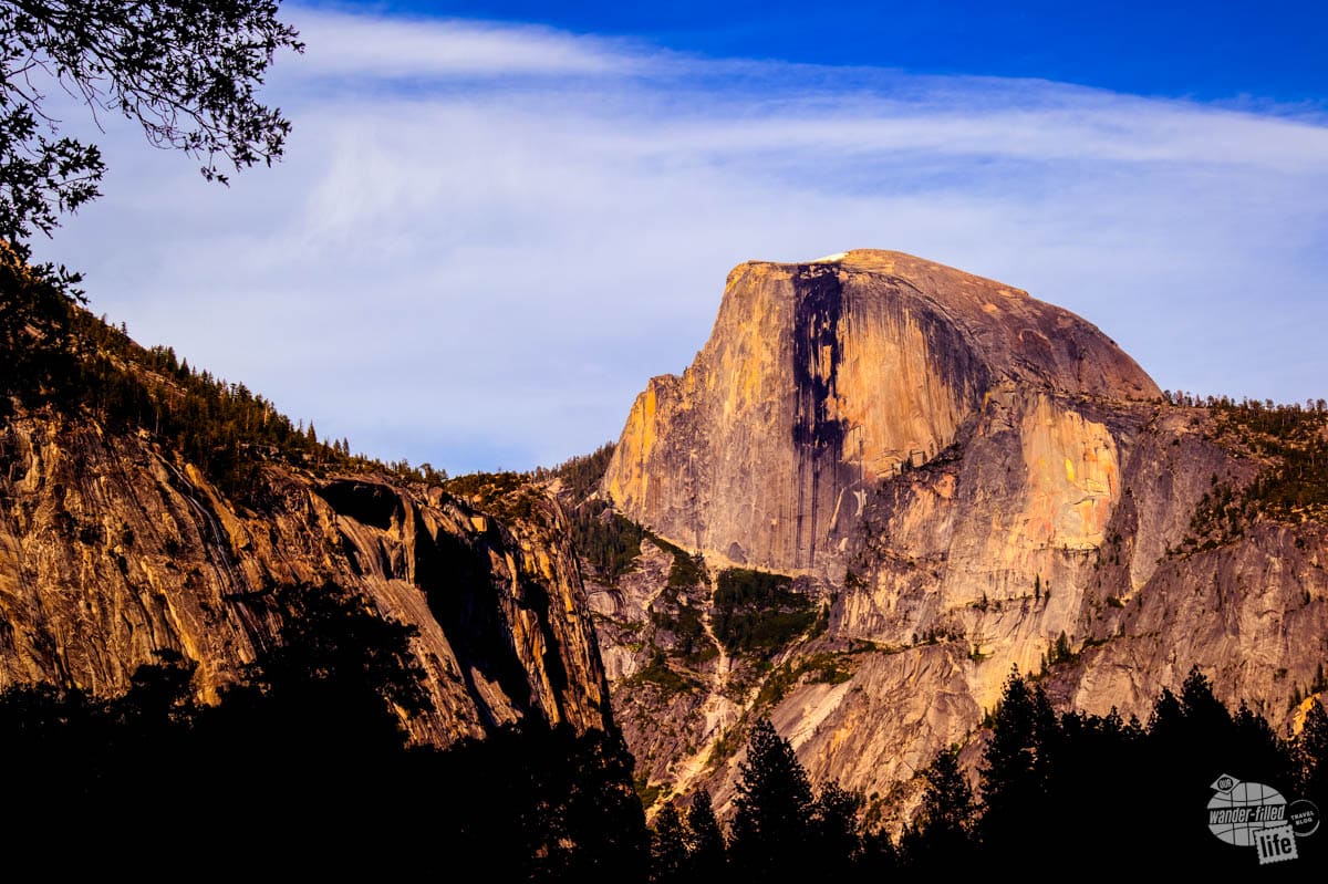 A massive granite dome with the near side seemingly sheared off into a cliff, bathed in evening sunlight with plenty of trees below it.