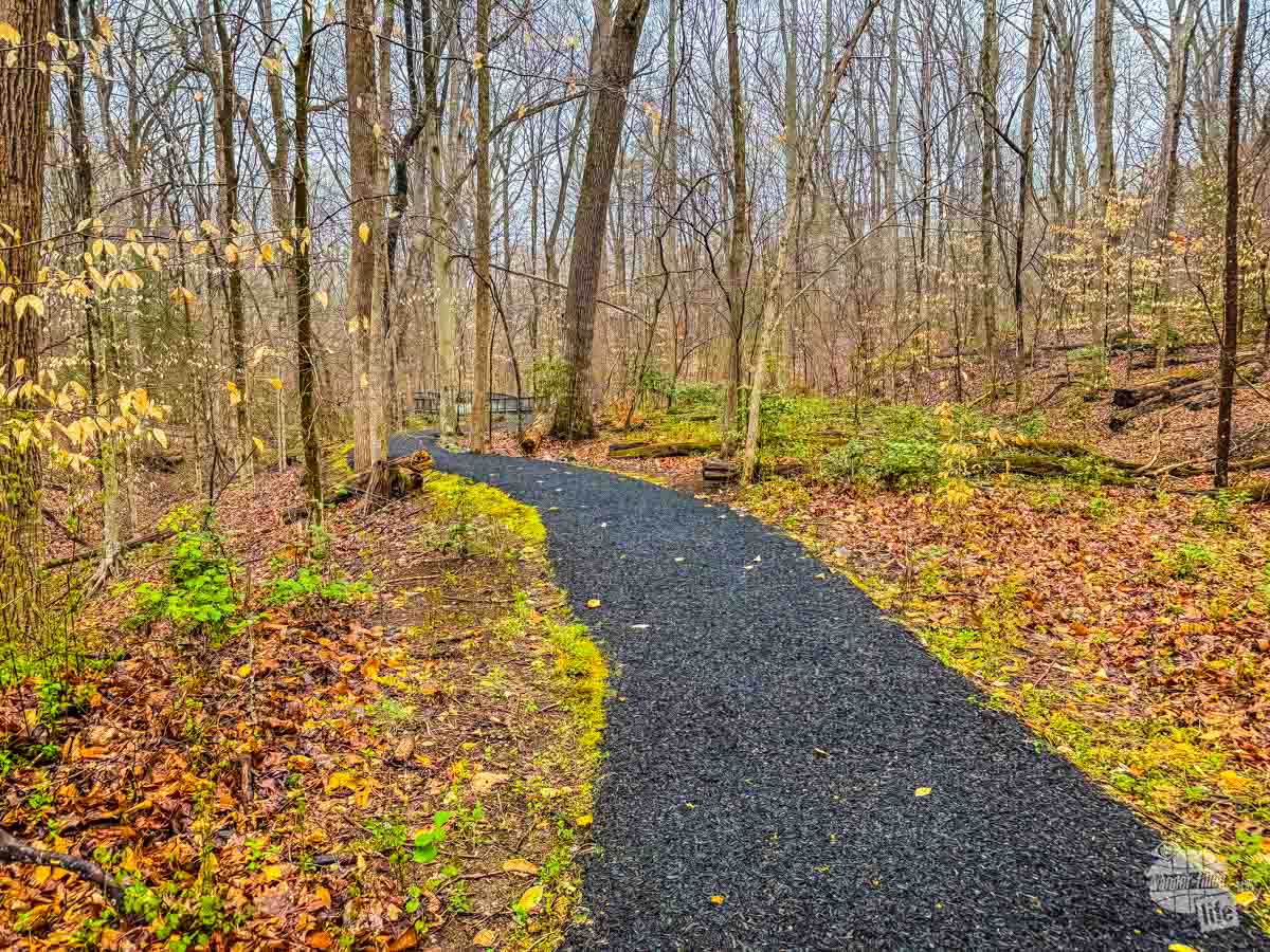Trail made from recycled tires at the Prince William Forest Park