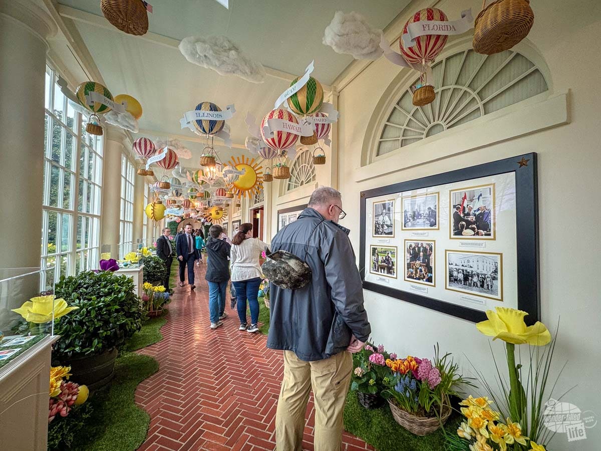 Inside the White House on a tour at Easter. Small model hot air balloons hang from the ceiling, flowers line the walkway.