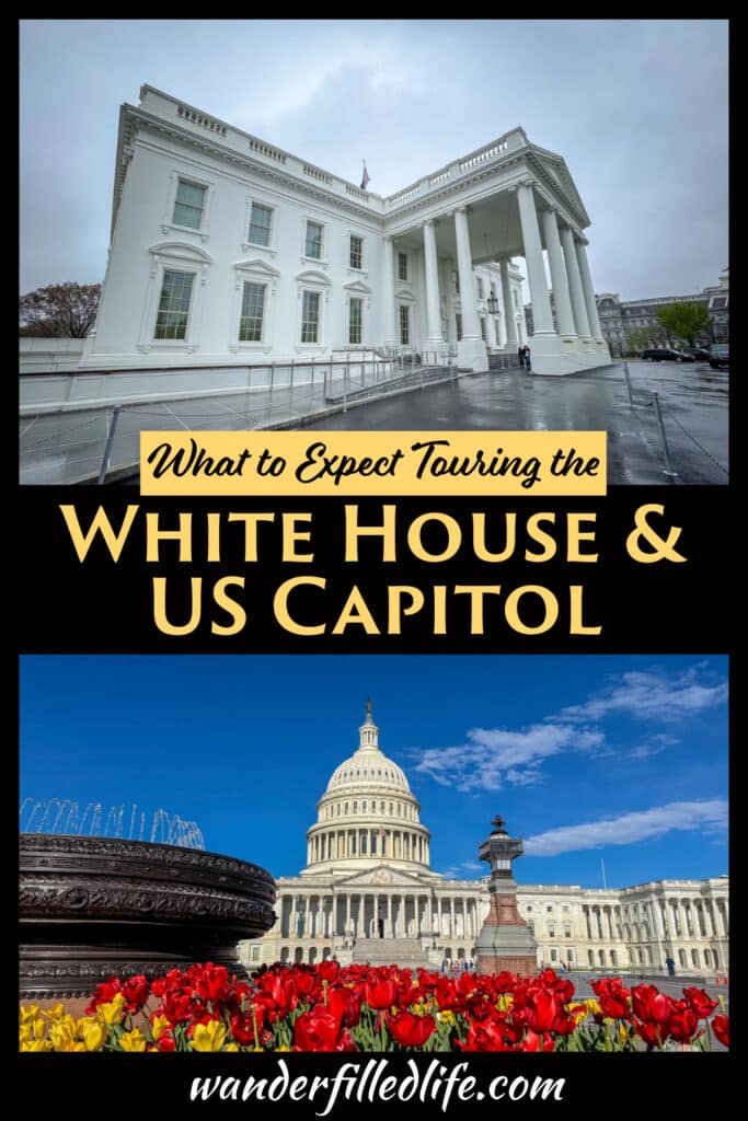 Photo collage with text overlay. Photo 1 shows the columns on the exterior of the White House. Photo 2 shows the domed Capitol building with red and yellow tulips in the foreground. Text reads What to Expect Touring the White House & US Capitol.