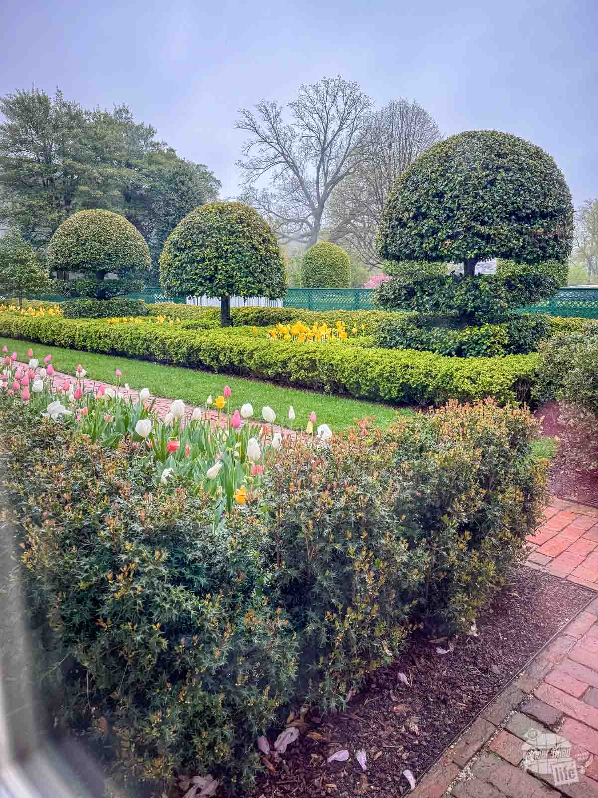 A manicured garden with several scuplted trees and bushes, along with a plethora of flowers.