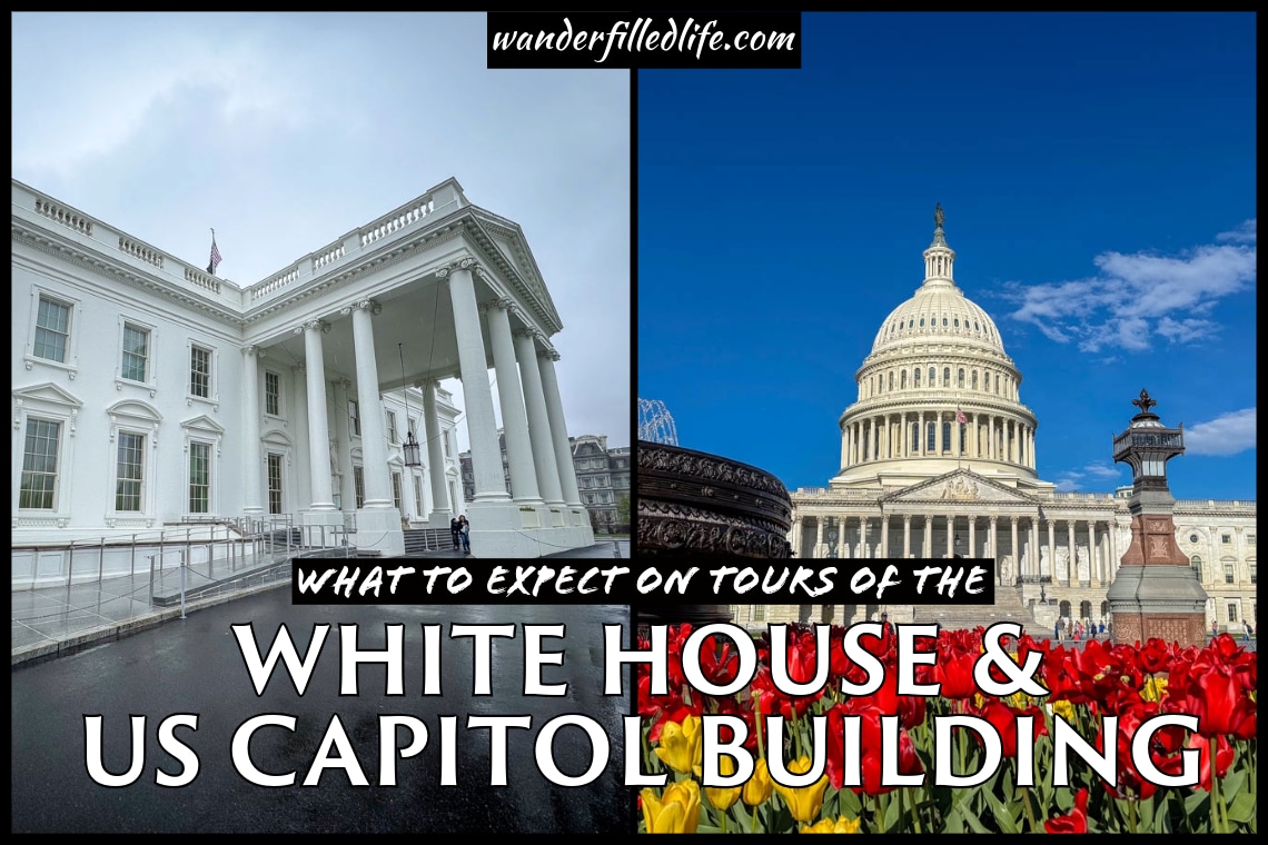 Photo collage with text overlay. Photo 1 shows the columns on the exterior of the White House. Photo 2 shows the domed Capitol building with red and yellow tulips in the foreground. Text reads What to Expect on Tours of the White House & US Capitol Building.