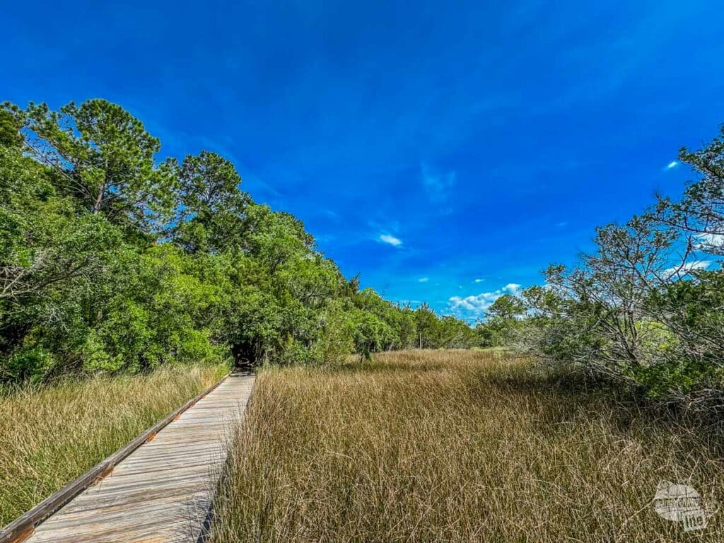 A boardwalk trail winding through a marsh.