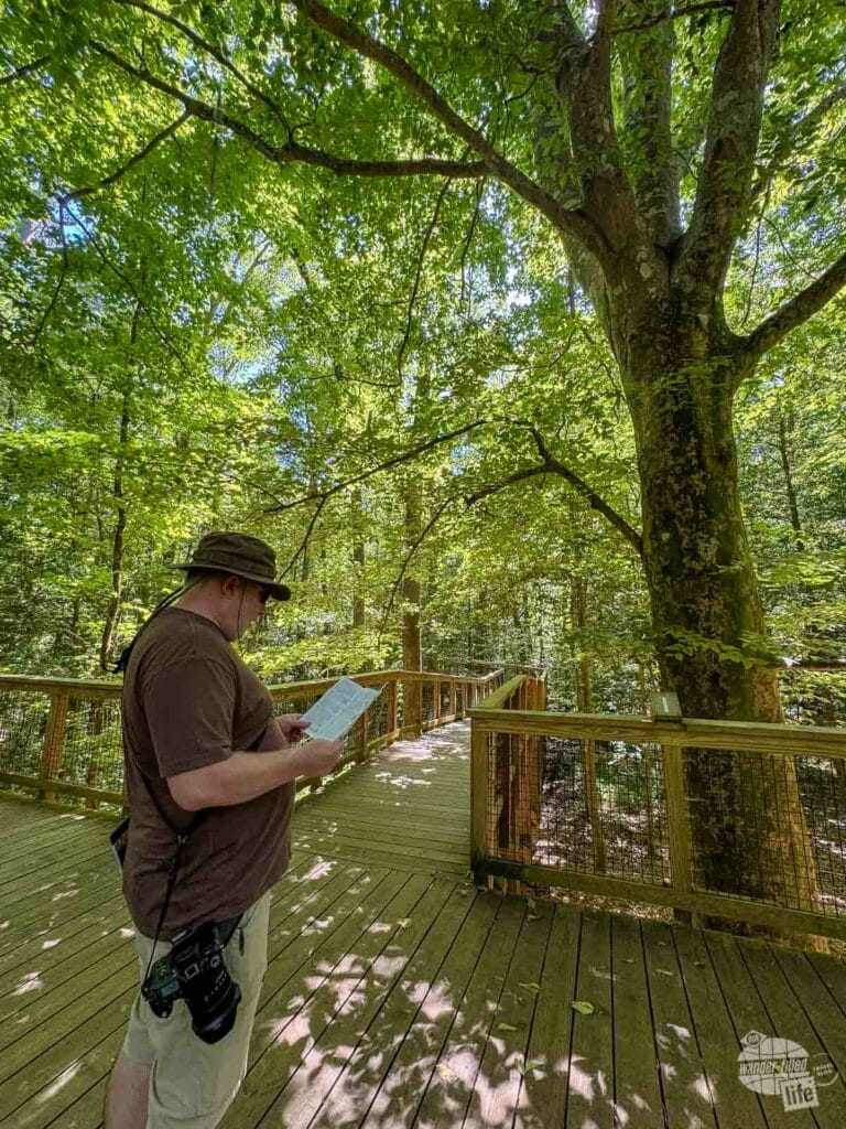 A man standing on a boardwalk reading an information pamphlet under a canopy of trees.