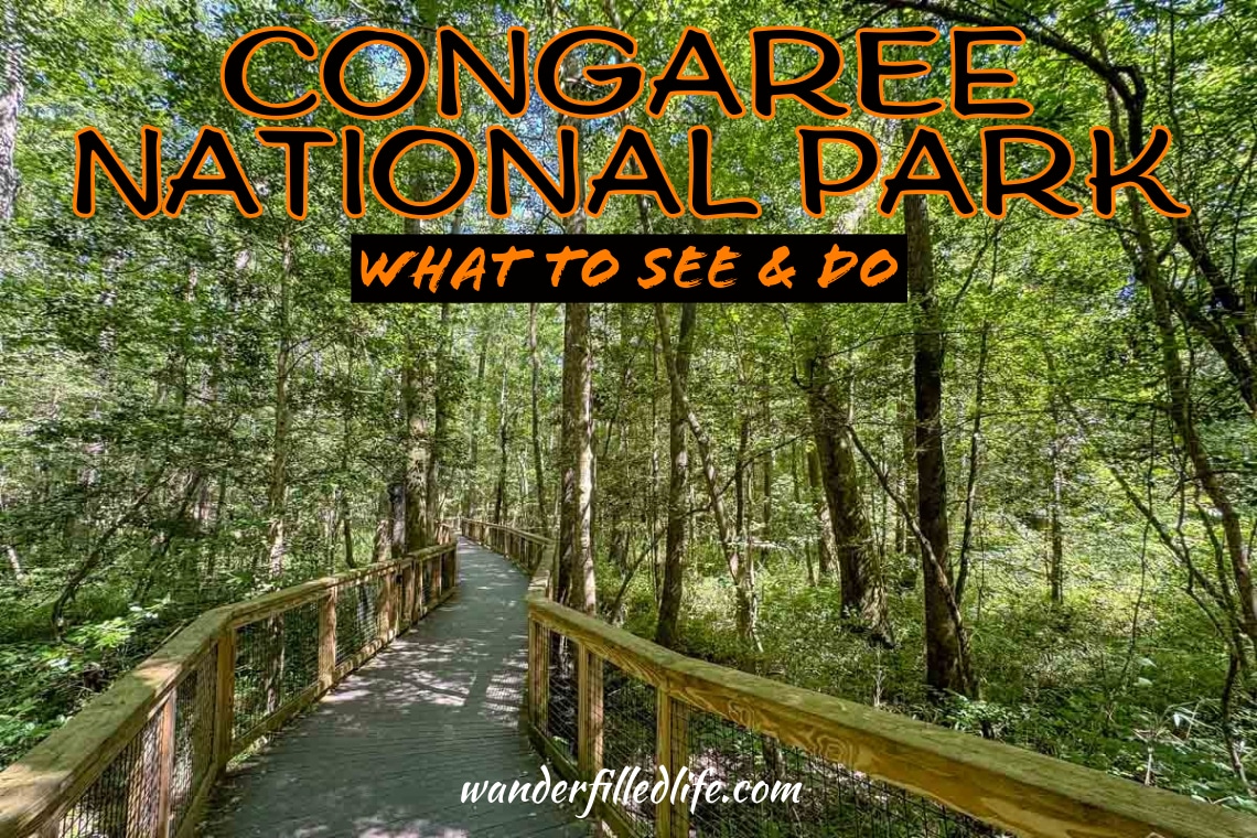 Photo with text overlay. Photo shows a wooden boardwalk leading through a forest. Text read Congaree National Park What to See & Do. wanderfilledlife.com