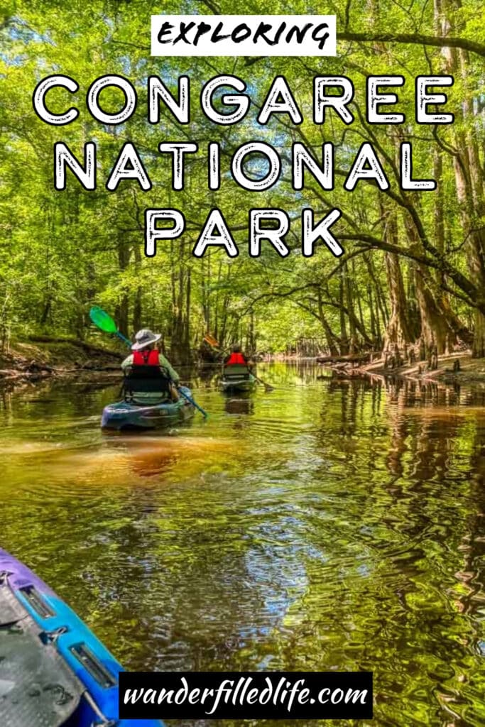 Photo with text overlay. Photo shows two kayaks paddling through a creek under a forest canopy. Text reads Exploring Congaree National Park. wanderfilledlife.com