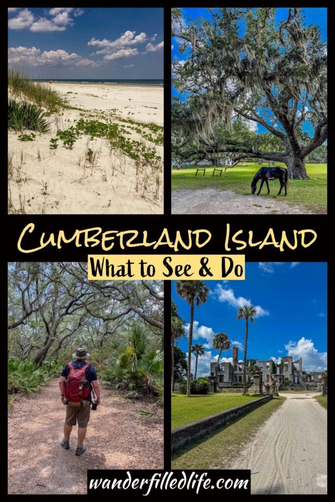 Photo collage with text overlay. Top left photo shows sand dunes and a beach. Top right photo shows a brown horse eating grass under the shade of a live oak tree. Bottom left photo shows a man on a hiking trail. Bottom right photo shows the ruins of an old mansion surrounded by palm trees. Text reads Cumberland Island What to See and Do. 