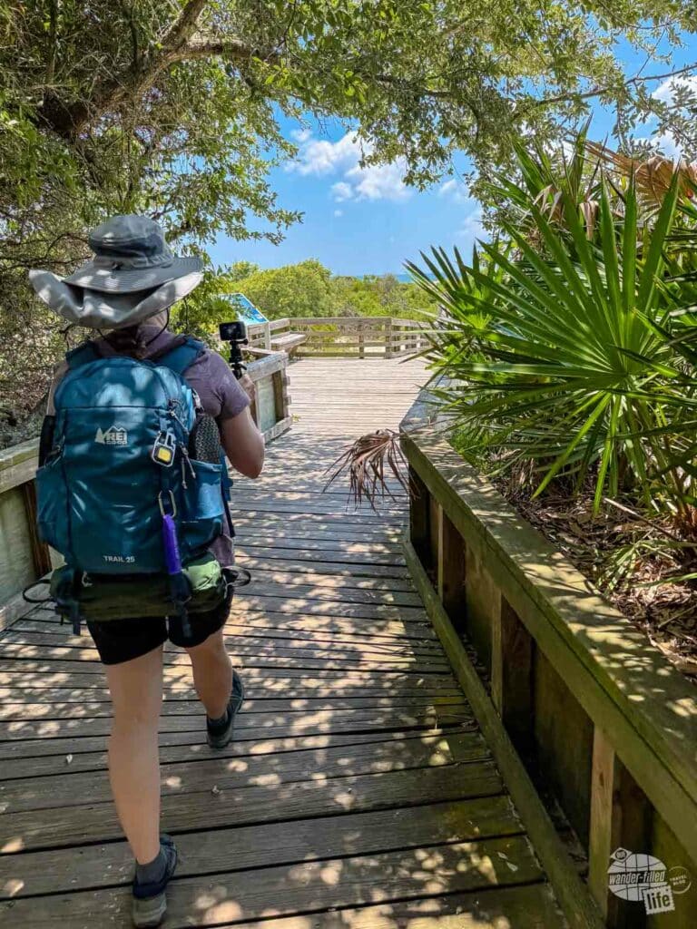 A woman walking on a boardwalk from the woods out towards the sand dunes.